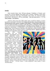 XX-ojo amžiaus jaunimo muzika ir jos įtaka kultūrai 14 puslapis
