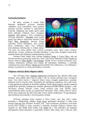 XX-ojo amžiaus jaunimo muzika ir jos įtaka kultūrai 19 puslapis