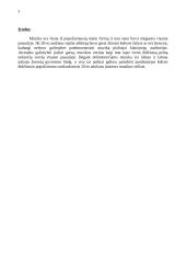 XX-ojo amžiaus jaunimo muzika ir jos įtaka kultūrai 5 puslapis