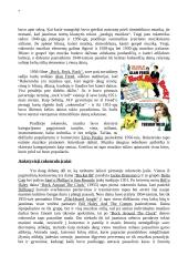 XX-ojo amžiaus jaunimo muzika ir jos įtaka kultūrai 7 puslapis