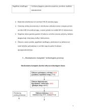 Profesinės veiklos praktikos ataskaita: mėsos gaminių gamyba UAB "Sagralita" 8 puslapis