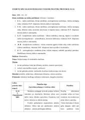 Specialiojo pedagogo praktikos bendrojo lavinimo mokykloje ataskaita 13 puslapis