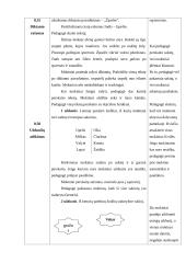 Specialiojo pedagogo praktikos bendrojo lavinimo mokykloje ataskaita 5 puslapis