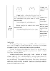 Specialiojo pedagogo praktikos bendrojo lavinimo mokykloje ataskaita 6 puslapis