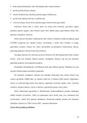 Žemės ir maisto ūkis - konkurencingumas 19 puslapis