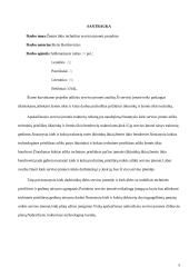 Žemės ūkio technikos serviso įmonės projektas 5 puslapis