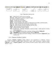 Žinios apie kompiuterius. Grafinė aplinka Microsoft Windows 2000. Kompiuteriniai virusai 16 puslapis