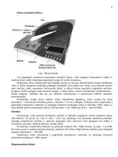 Žinios apie kompiuterius. Grafinė aplinka Microsoft Windows 2000. Kompiuteriniai virusai 7 puslapis