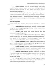 Žinių visuomenės plėtra Lietuvoje 12 puslapis