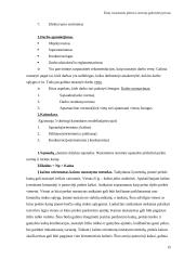 Žinių visuomenės plėtra Lietuvoje 15 puslapis