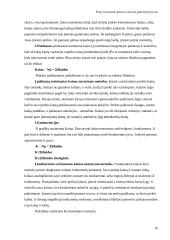 Žinių visuomenės plėtra Lietuvoje 16 puslapis