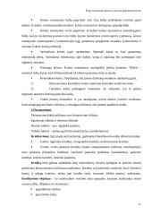 Žinių visuomenės plėtra Lietuvoje 17 puslapis