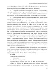 Žinių visuomenės plėtra Lietuvoje 19 puslapis