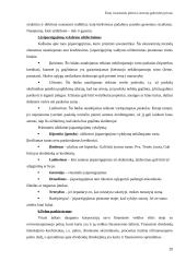 Žinių visuomenės plėtra Lietuvoje 20 puslapis