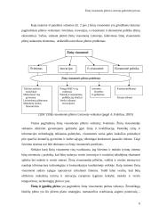 Žinių visuomenės plėtra Lietuvoje 6 puslapis