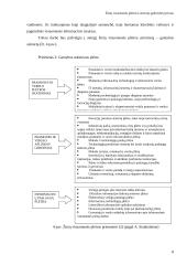 Žinių visuomenės plėtra Lietuvoje 8 puslapis