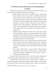 Žinių visuomenės plėtra Lietuvoje 10 puslapis