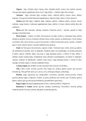 Gyvulininkystės eksterjeriniai taškai 2 puslapis