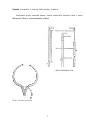 Gyvulininkystės eksterjeriniai taškai 4 puslapis