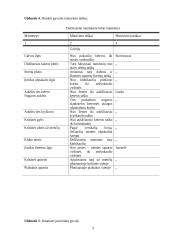 Gyvulininkystės eksterjeriniai taškai 5 puslapis