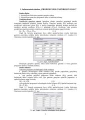 Įmonės veiklos planavimas - praktinių darbų ataskaitos 2 puslapis