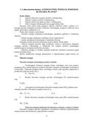 Įmonės veiklos planavimas - praktinių darbų ataskaitos 10 puslapis