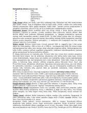 Kompiuterių virusai bei jų keliami pavojai 3 puslapis