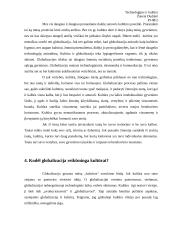 Kultūros ir globalizacijos santykis 3 puslapis