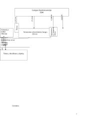 Mažaslėgės liuminescensinės lempos apskaičiavimas ir ištyrimas bei jos parametrų kitimo priklausomybės numatymas 7 puslapis