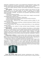 Plaučių ventiliacijos, dujų difuzijos ir perfuzijos sutrikimai 3 puslapis