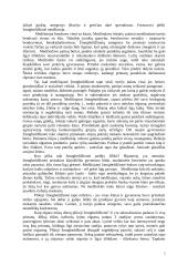 Plikoji žmogbeždžionė 2 puslapis