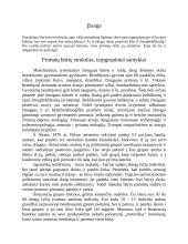 Primatų būrių struktūra