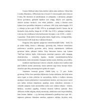 Senovės žydai 3 puslapis