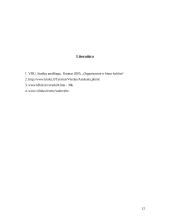 "Vieno langelio" principas piliečių aptarnavime 12 puslapis