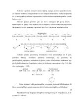 Baltymai, amino rūgštys, peptidai 14 puslapis