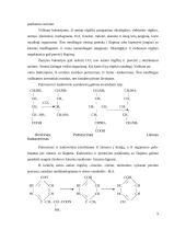 Baltymai, amino rūgštys, peptidai 9 puslapis
