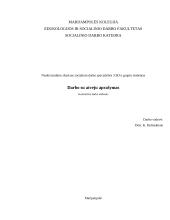 Darbo su atveju aprašymas