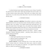 Darbo su atveju aprašymas 2 puslapis