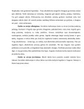 Darbo su atveju aprašymas 5 puslapis