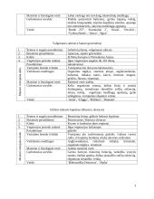 Daržovių morfologinės, biologinės savybės ir jų klasifikacija 3 puslapis