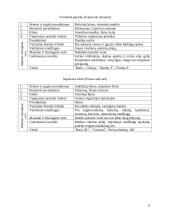 Daržovių morfologinės, biologinės savybės ir jų klasifikacija 6 puslapis