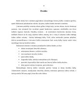 Dažniausiai pasitaikančios kalbos problemos interneto svetainėse 11 puslapis