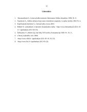 Dažniausiai pasitaikančios kalbos problemos interneto svetainėse 12 puslapis