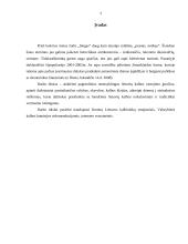 Dažniausiai pasitaikančios kalbos problemos interneto svetainėse 3 puslapis