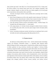 Dažniausiai pasitaikančios kalbos problemos interneto svetainėse 7 puslapis