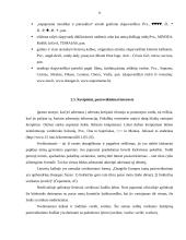 Dažniausiai pasitaikančios kalbos problemos interneto svetainėse 9 puslapis