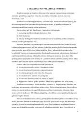 Draudimas nuo nelaimingų atsitikimų ir įmonės suteikiančios šį draudimą 4 puslapis