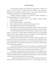 Administracinė atsakomybė ir kitos teisinės atsakomybės rūšys 4 puslapis