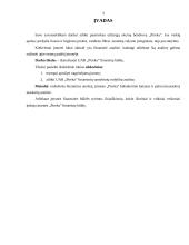 Finansinių rodiklių analizė: švaros ir higienos prekės UAB "Pireka" 3 puslapis