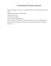 Finansinių rodiklių analizė: švaros ir higienos prekės UAB "Pireka" 4 puslapis